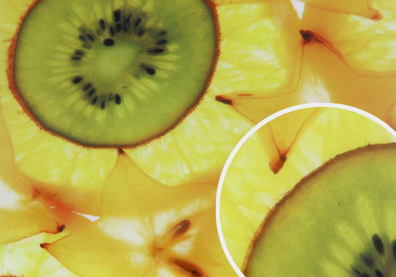 Solvent/Inkjet Printing Services | Paper-Film Media | Nova Display